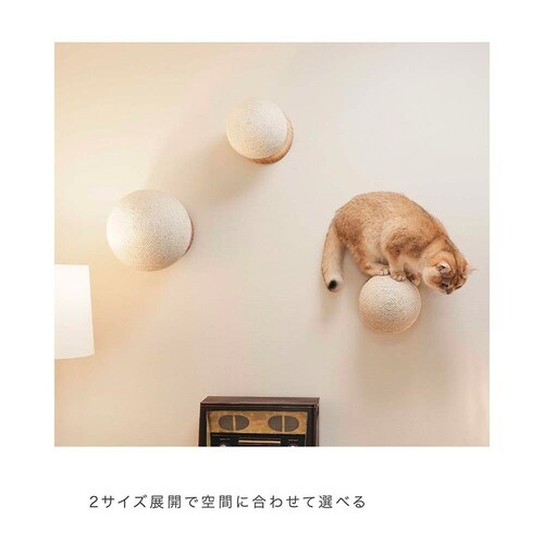 CATURN N18 �L���^�[���܌����{�[�� MZ0001 �y�v���U�Z���N�g�z_13