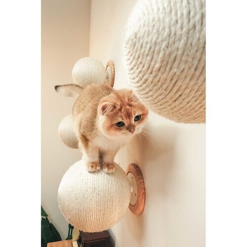 CATURN N25 �L���^�[���܌����{�[�� MZ0002 �y�v���U�Z���N�g�z_3