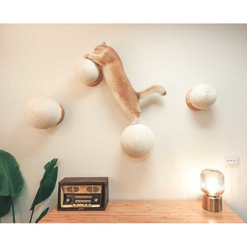 CATURN N25 �L���^�[���܌����{�[�� MZ0002 �y�v���U�Z���N�g�z_4