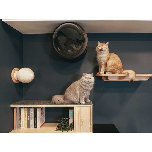 CATURN N25 �L���^�[���܌����{�[�� MZ0002 �y�v���U�Z���N�g�z_6