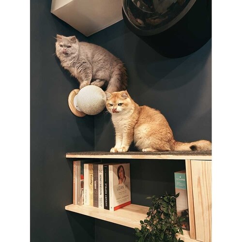 CATURN N25 �L���^�[���܌����{�[�� MZ0002 �y�v���U�Z���N�g�z_7