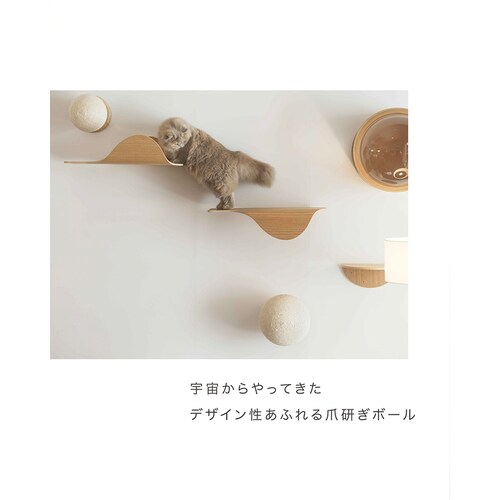 CATURN N25 �L���^�[���܌����{�[�� MZ0002 �y�v���U�Z���N�g�z_11