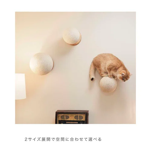 CATURN N25 �L���^�[���܌����{�[�� MZ0002 �y�v���U�Z���N�g�z_13