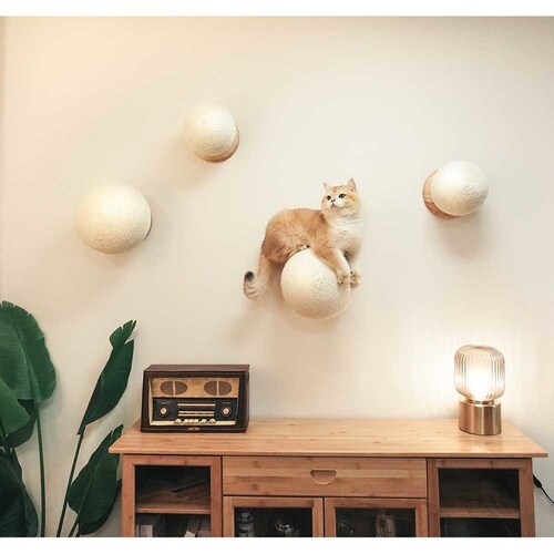 CATURN N25 �L���^�[���܌����{�[�� MZ0002 �y�v���U�Z���N�g�z_18