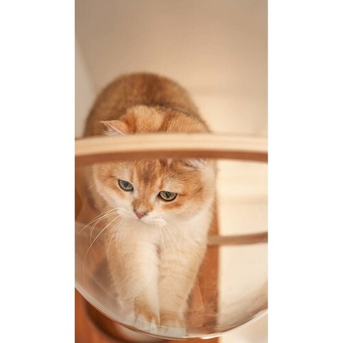 AURA���̓L���b�g�x�b�h MZ0004 �y�v���U�Z���N�g�z_5