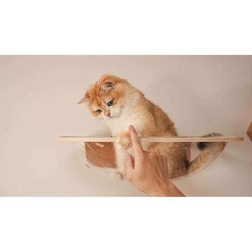 AURA���̓L���b�g�x�b�h MZ0004 �y�v���U�Z���N�g�z_6