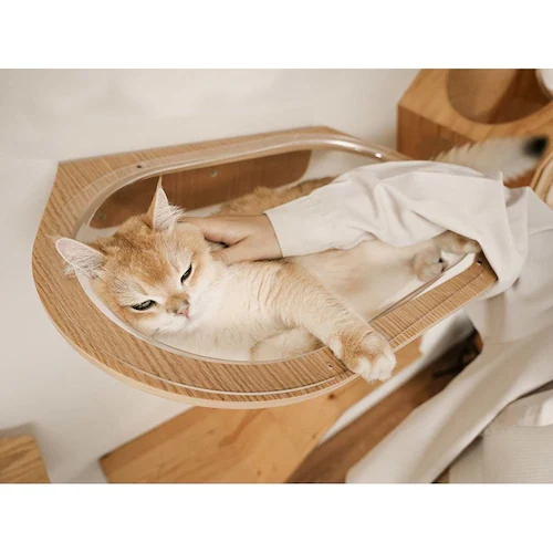 AURA���̓L���b�g�x�b�h MZ0004 �y�v���U�Z���N�g�z_8