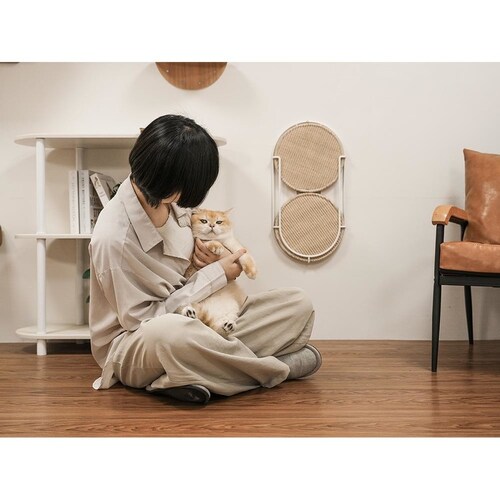 LOCUS �~�`�܌����{�[�h MZ0005 �y�v���U�Z���N�g�z_4