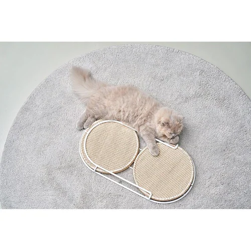 LOCUS �~�`�܌����{�[�h MZ0005 �y�v���U�Z���N�g�z_7