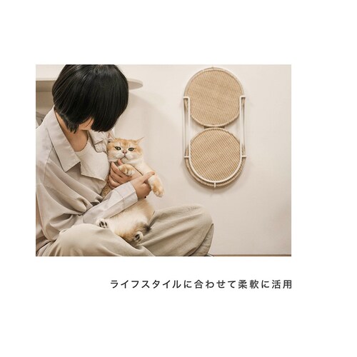 LOCUS �~�`�܌����{�[�h MZ0005 �y�v���U�Z���N�g�z_8