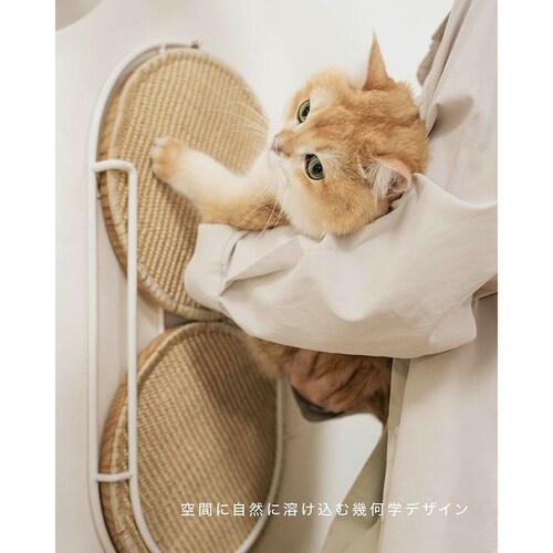 LOCUS �~�`�܌����{�[�h MZ0005 �y�v���U�Z���N�g�z_9