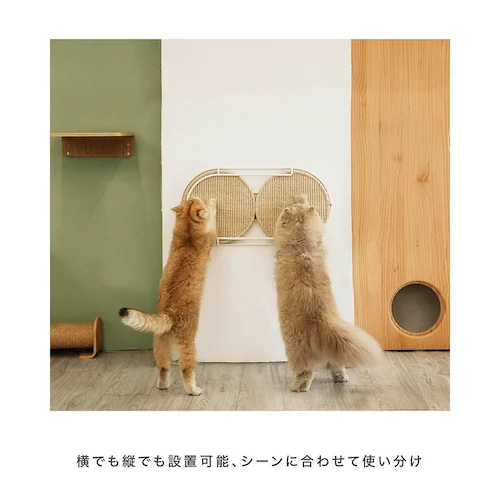 LOCUS �~�`�܌����{�[�h MZ0005 �y�v���U�Z���N�g�z_10