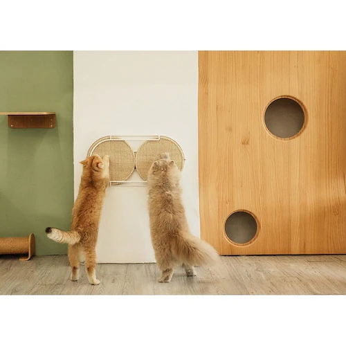 LOCUS �~�`�܌����{�[�h MZ0005 �y�v���U�Z���N�g�z_15