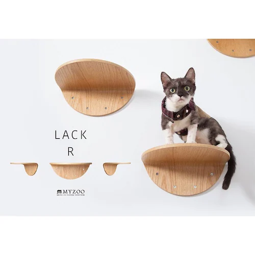 ROUNDLACK MZ0019 �y�v���U�Z���N�g�z_3