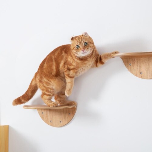 ROUNDLACK MZ0019 �y�v���U�Z���N�g�z_6