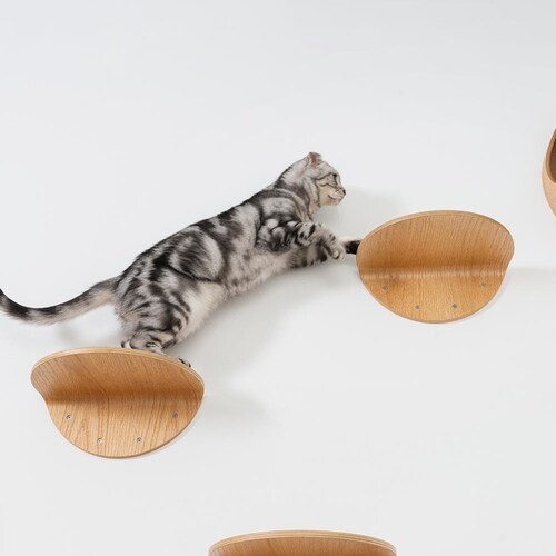 ROUNDLACK MZ0019 �y�v���U�Z���N�g�z_7