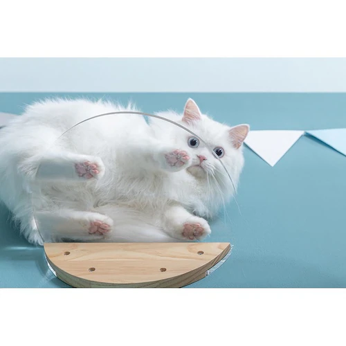 ROUNDLACK CLEAR MZ0020 �y�v���U�Z���N�g�z_3