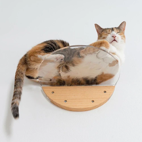 ROUNDLACK CLEAR MZ0020 �y�v���U�Z���N�g�z_5