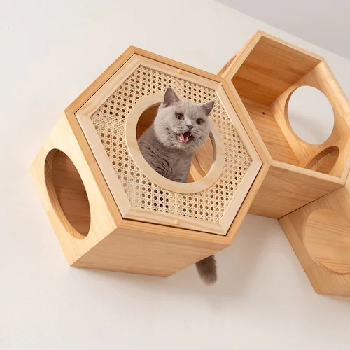 �Z�p�n�E�X�J�o�[(RATTAN) MZ0022 �y�v���U�Z���N�g�z_6