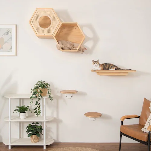 MZ0026 MZ0026 �y�v���U�Z���N�g�z_3