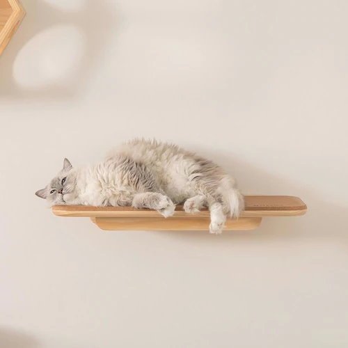 MZ0026 MZ0026 �y�v���U�Z���N�g�z_11