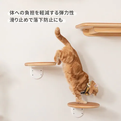 CORK�]R MZ0027 �y�v���U�Z���N�g�z_8