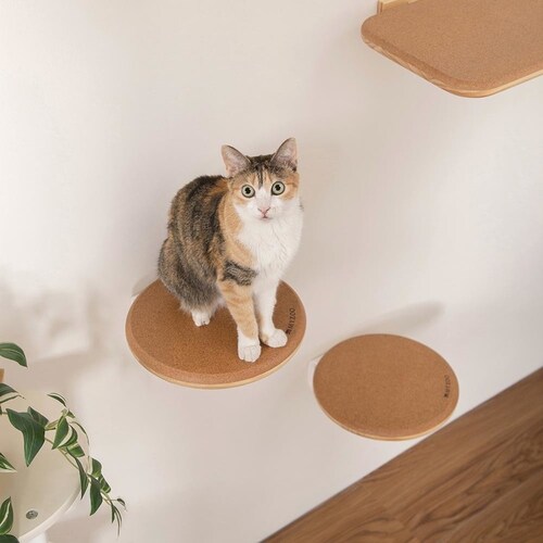 CORK�]R MZ0027 �y�v���U�Z���N�g�z_13