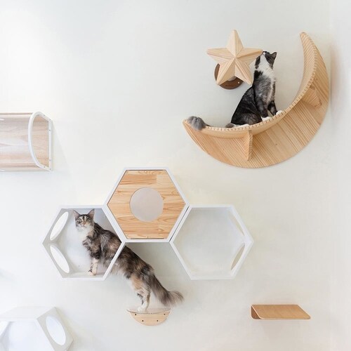 LUNA MZ0035 �y�v���U�Z���N�g�z_12