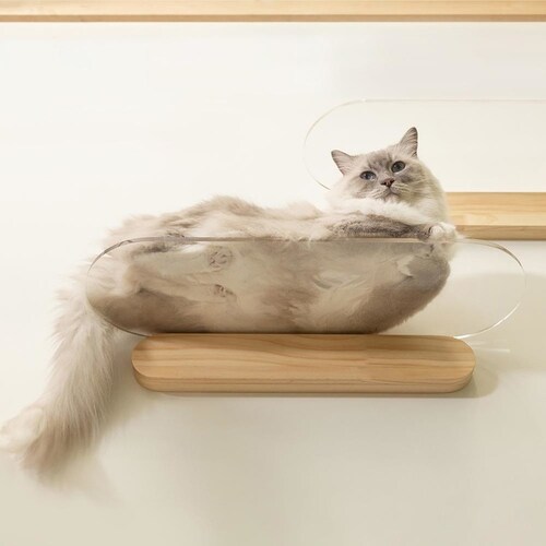 OBLONG/M60cm MZ0037 �y�v���U�Z���N�g�z_2