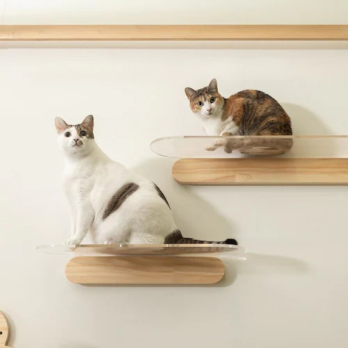 OBLONG/M60cm MZ0037 �y�v���U�Z���N�g�z_3