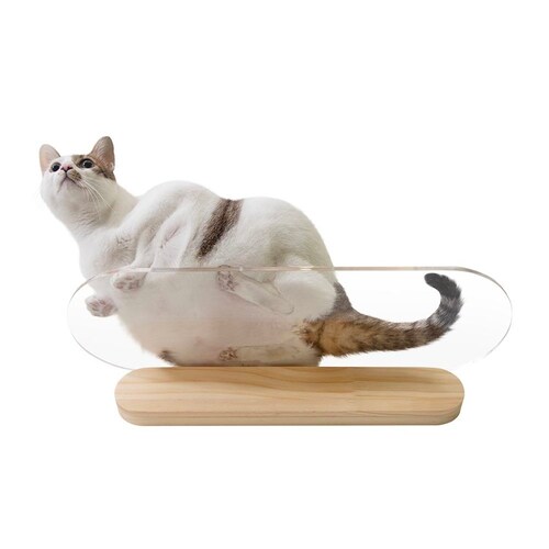 OBLONG/M60cm MZ0037 �y�v���U�Z���N�g�z_7