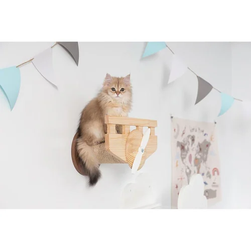 PLANE MZ0038 �y�v���U�Z���N�g�z_5