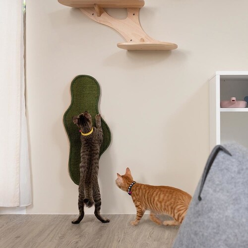 SEAWEED MZ0041 �y�v���U�Z���N�g�z_7