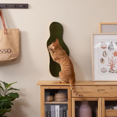 SEAWEED MZ0041 �y�v���U�Z���N�g�z_8