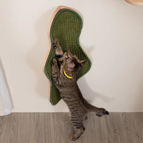 SEAWEED MZ0041 �y�v���U�Z���N�g�z_10