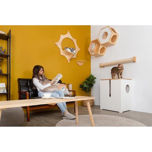 SOLAR MZ0043 �y�v���U�Z���N�g�z_7