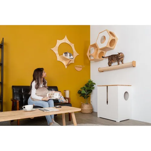 SOLAR MZ0043 �y�v���U�Z���N�g�z_8