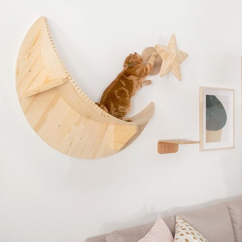 TWINKLESTAR MZ0044 �y�v���U�Z���N�g�z_3