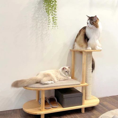 TRINEST�V���[�Y�X�c�[�� MZ0047 �y�v���U�Z���N�g�z_5