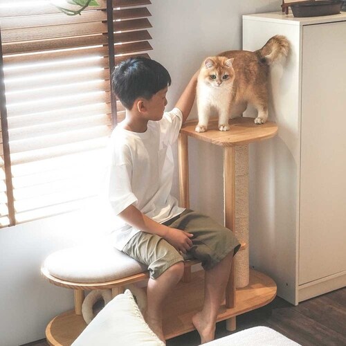 TRINEST�V���[�Y�X�c�[�� MZ0047 �y�v���U�Z���N�g�z_6