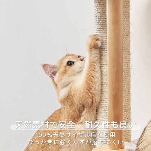 TRINEST�V���[�Y�X�c�[�� MZ0047 �y�v���U�Z���N�g�z_11