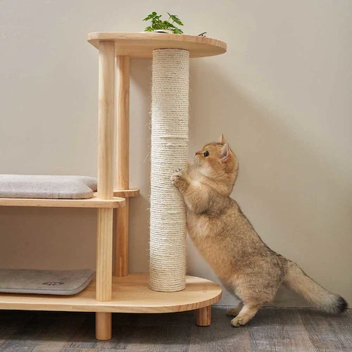 TRINEST�V���[�Y�X�c�[�� MZ0047 �y�v���U�Z���N�g�z_16