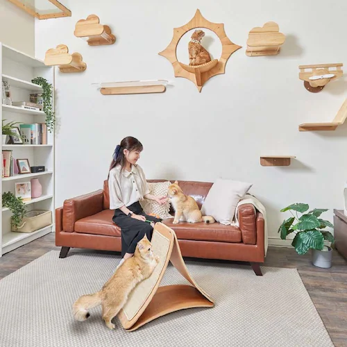 TRIPAWS�L�p�܂Ƃ��{�[�h MZ0048 �y�v���U�Z���N�g�z_5