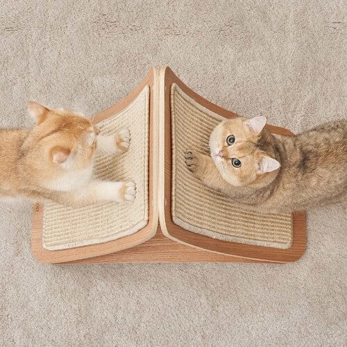 TRIPAWS�L�p�܂Ƃ��{�[�h MZ0048 �y�v���U�Z���N�g�z_6