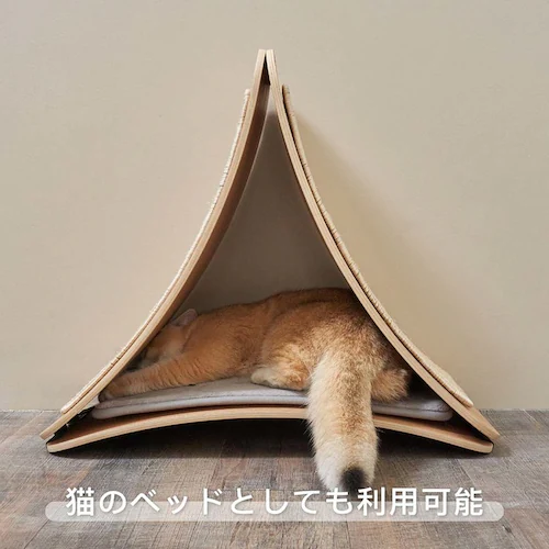 TRIPAWS�L�p�܂Ƃ��{�[�h MZ0048 �y�v���U�Z���N�g�z_12