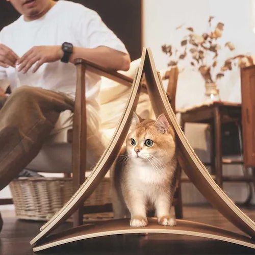 TRIPAWS�L�p�܂Ƃ��{�[�h MZ0048 �y�v���U�Z���N�g�z_15