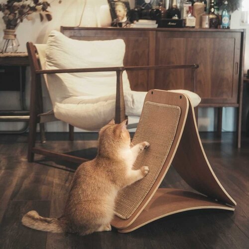 TRIPAWS�L�p�܂Ƃ��{�[�h MZ0048 �y�v���U�Z���N�g�z_16