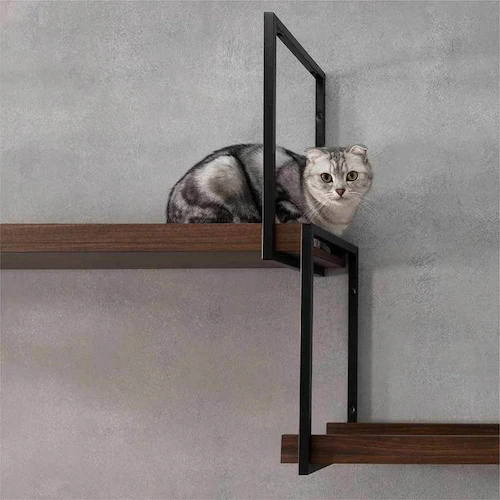 AVENUE/100cm�E�H�[���i�b�g MZ0059 �y�v���U�Z���N�g�z_4