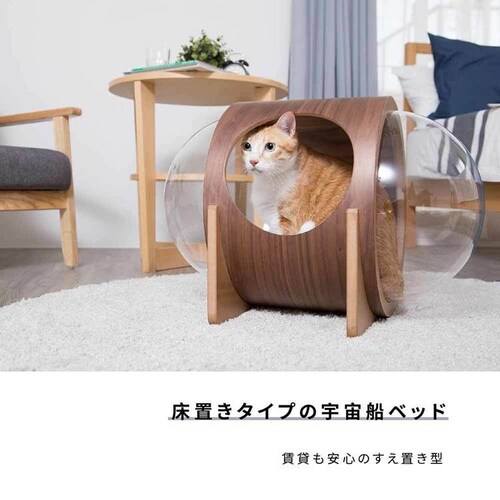 �F���DALPHA(�E�H�[���i�b�g) MZ0079 �y�v���U�Z���N�g�z_2