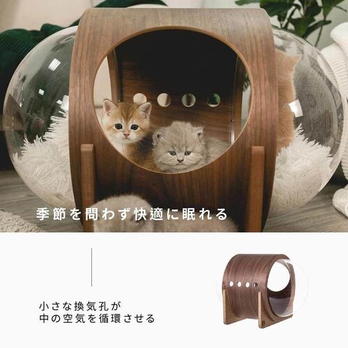 �F���DALPHA(�E�H�[���i�b�g) MZ0079 �y�v���U�Z���N�g�z_4